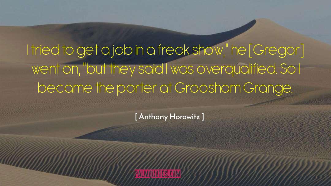 Anthony Horowitz Quotes: I tried to get a