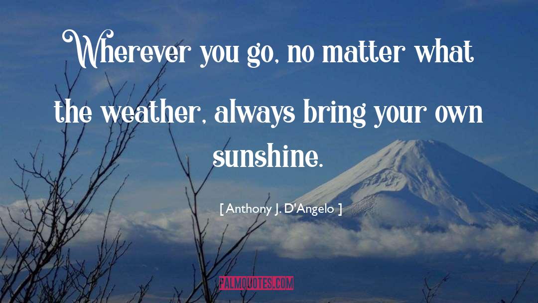 Anthony J. D'Angelo Quotes: Wherever you go, no matter