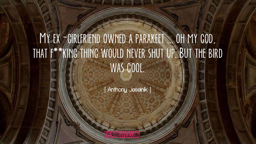 Anthony Jeselnik Quotes: My ex-girlfriend owned a parakeet