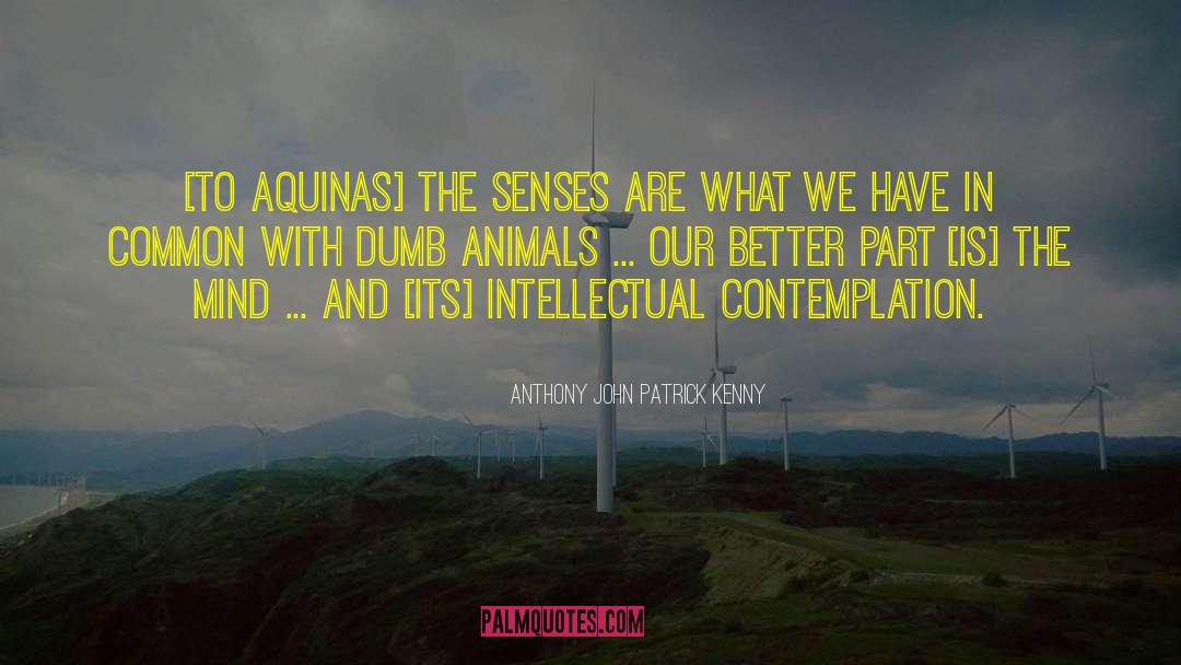 Anthony John Patrick Kenny Quotes: [To Aquinas] the senses are