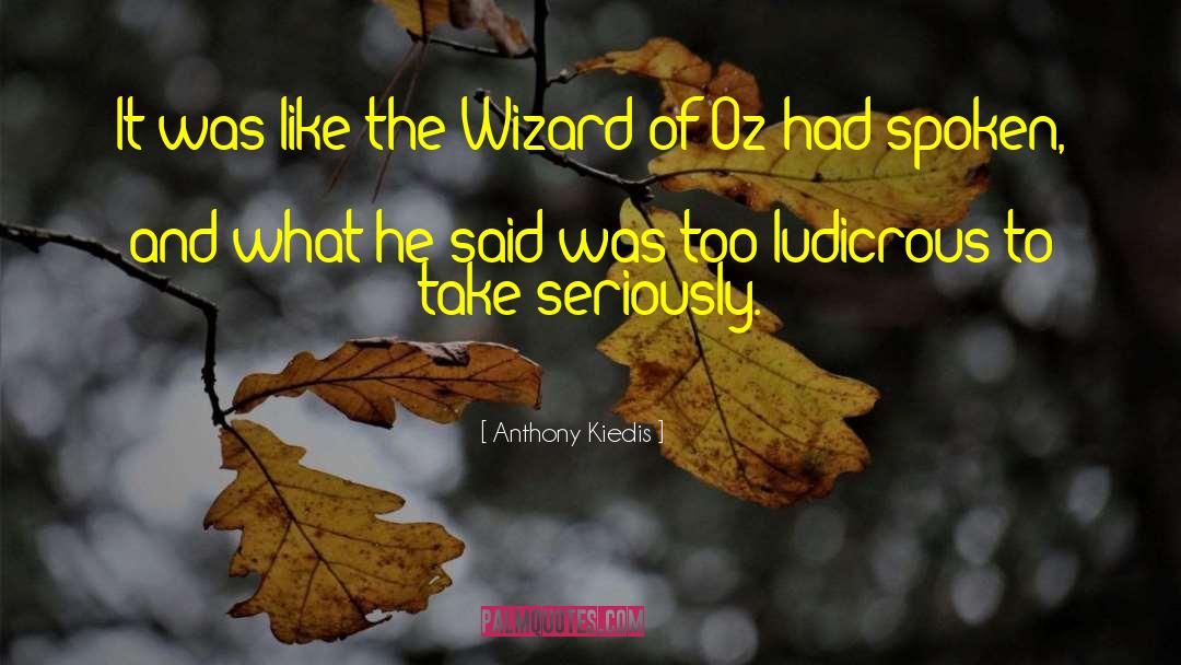 Anthony Kiedis Quotes: It was like the Wizard