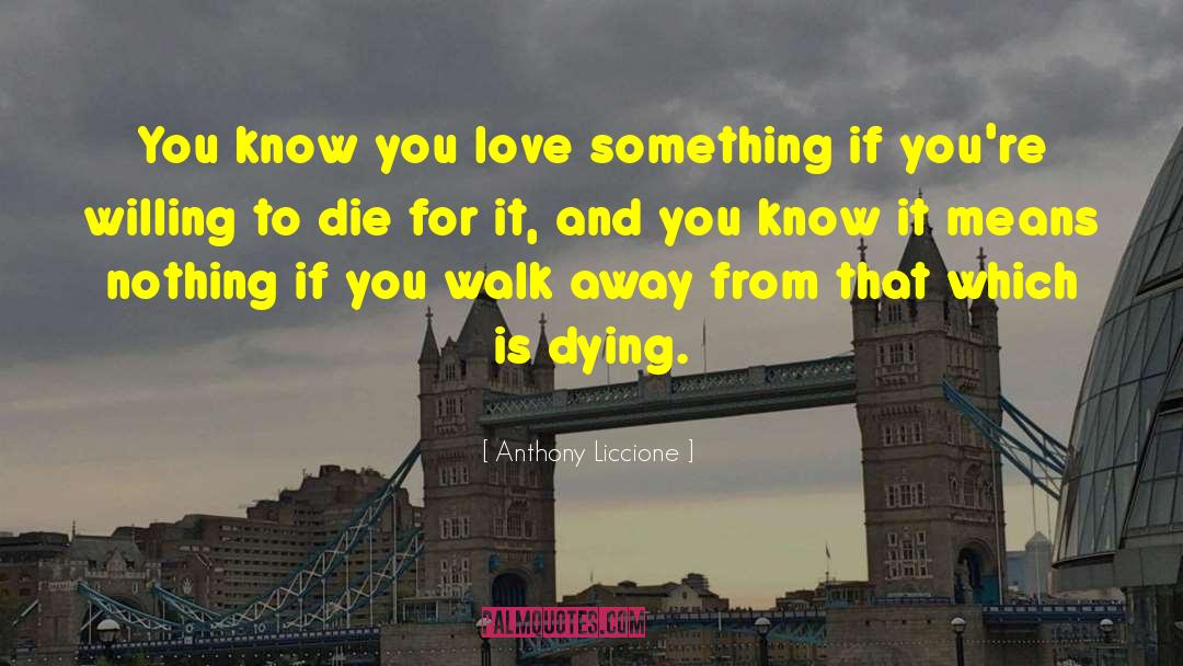 Anthony Liccione Quotes: You know you love something