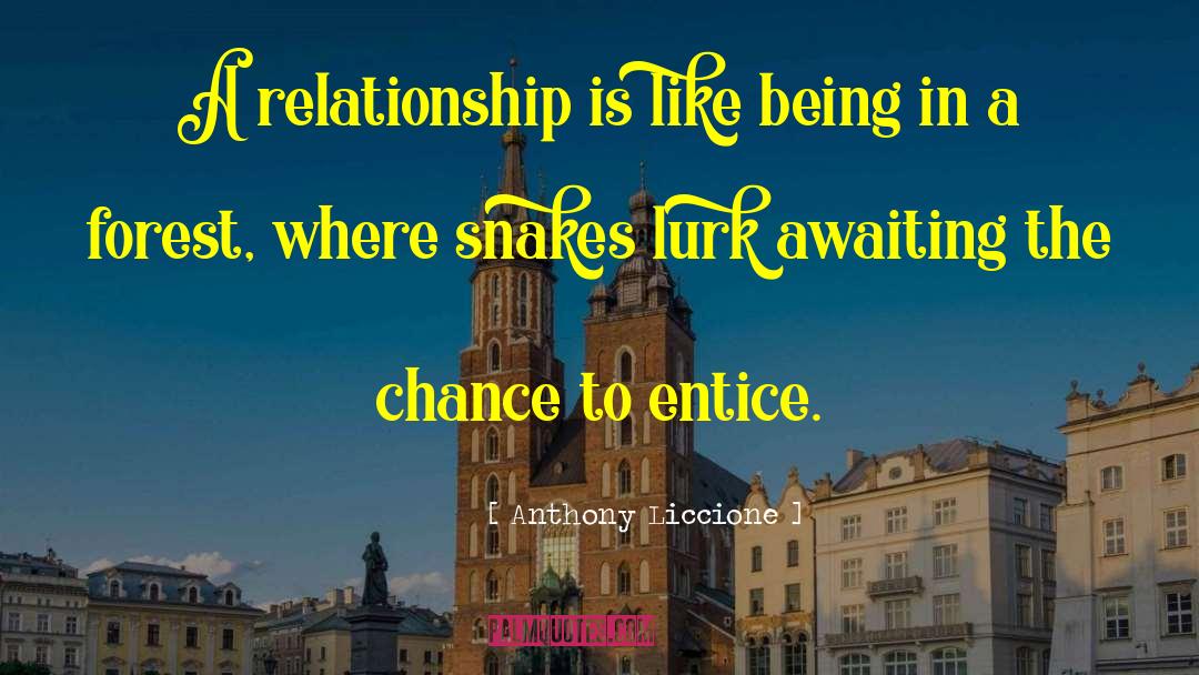 Anthony Liccione Quotes: A relationship is like being