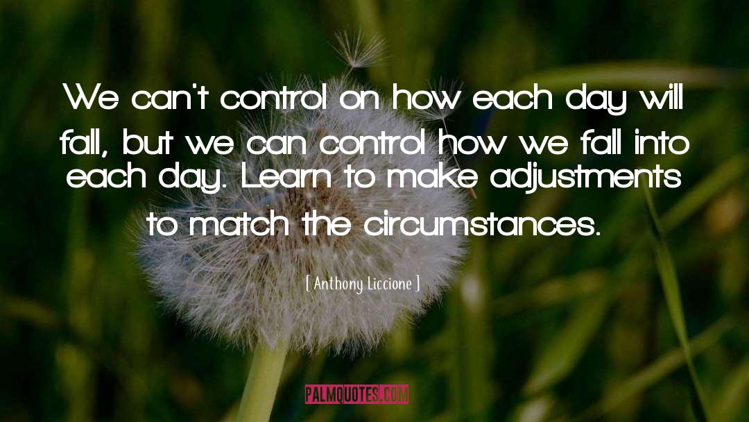 Anthony Liccione Quotes: We can't control on how