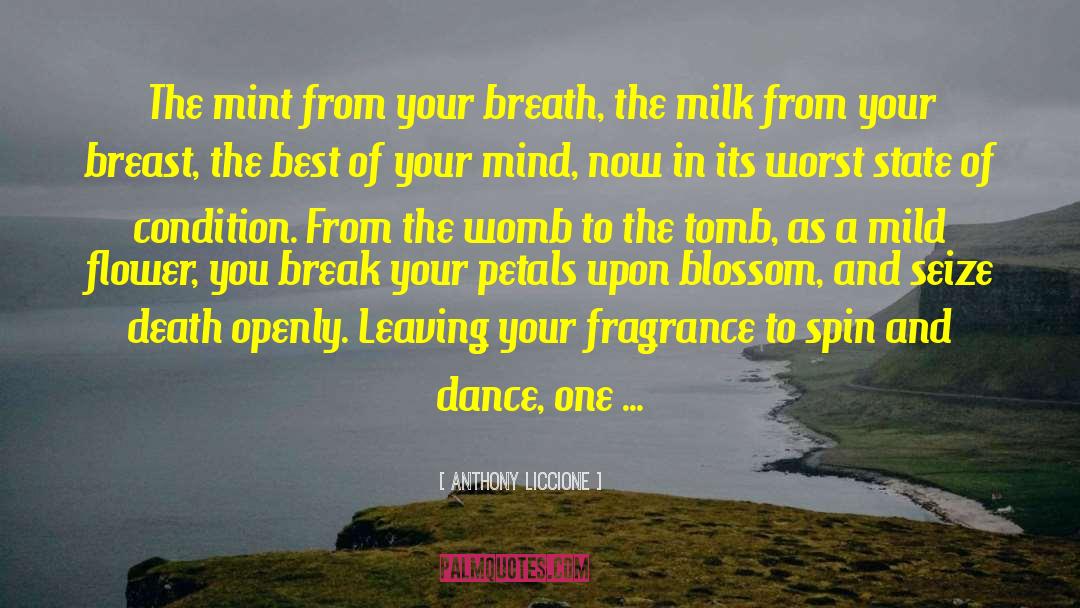 Anthony Liccione Quotes: The mint from your breath,