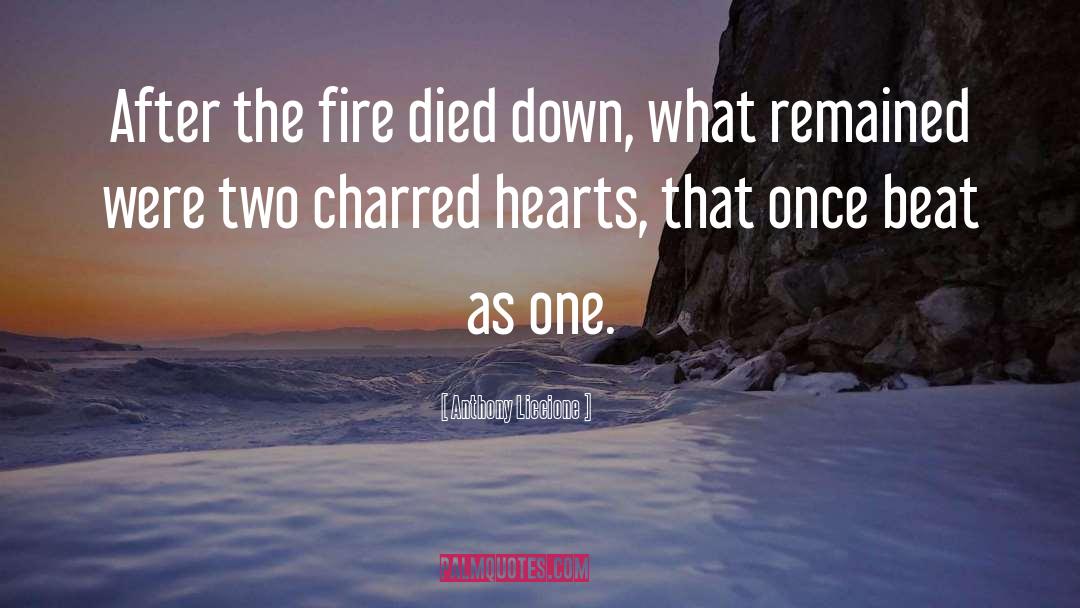 Anthony Liccione Quotes: After the fire died down,