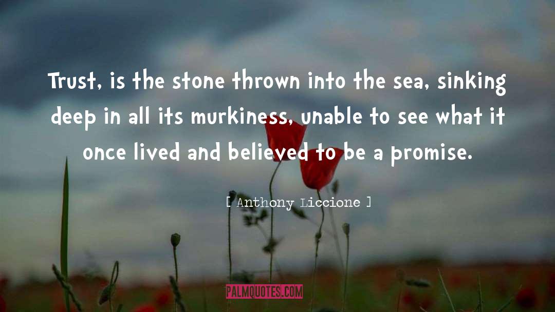 Anthony Liccione Quotes: Trust, is the stone thrown