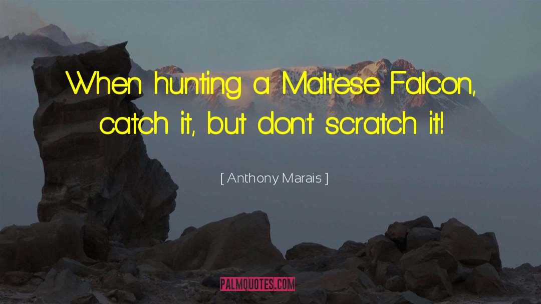 Anthony Marais Quotes: When hunting a Maltese Falcon,