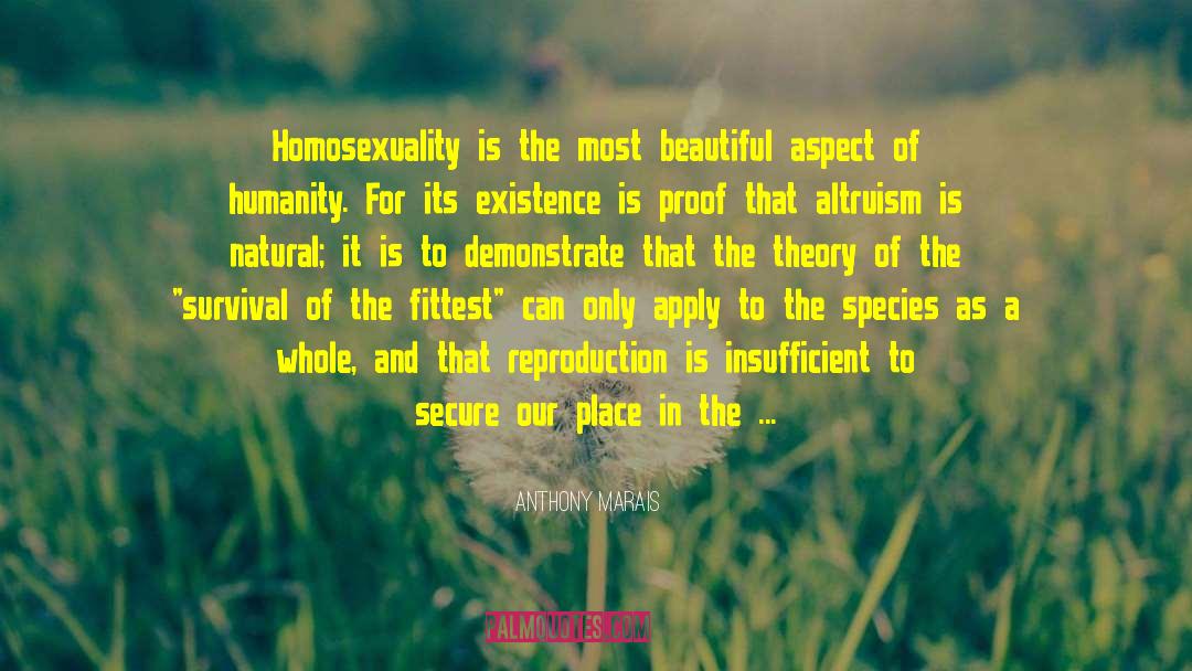 Anthony Marais Quotes: Homosexuality is the most beautiful