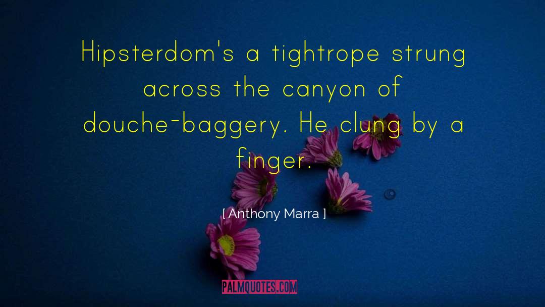 Anthony Marra Quotes: Hipsterdom's a tightrope strung across