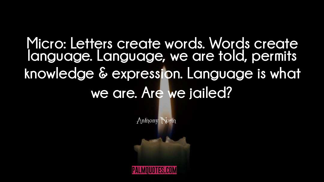 Anthony North Quotes: Micro: Letters create words. Words