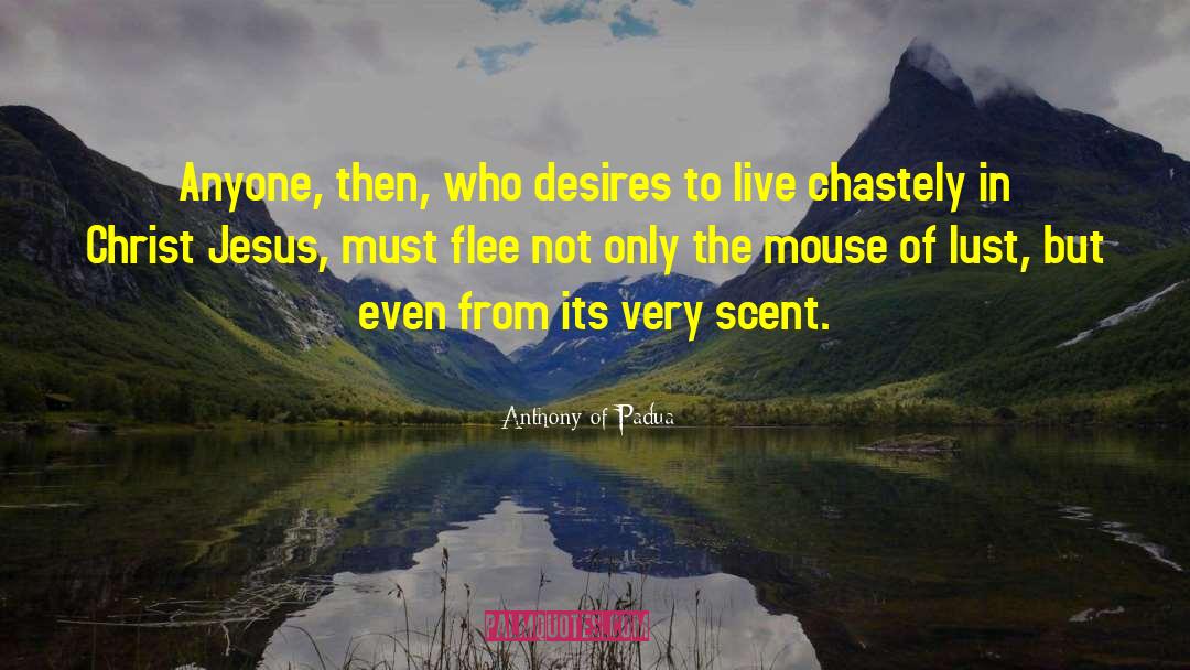 Anthony Of Padua Quotes: Anyone, then, who desires to