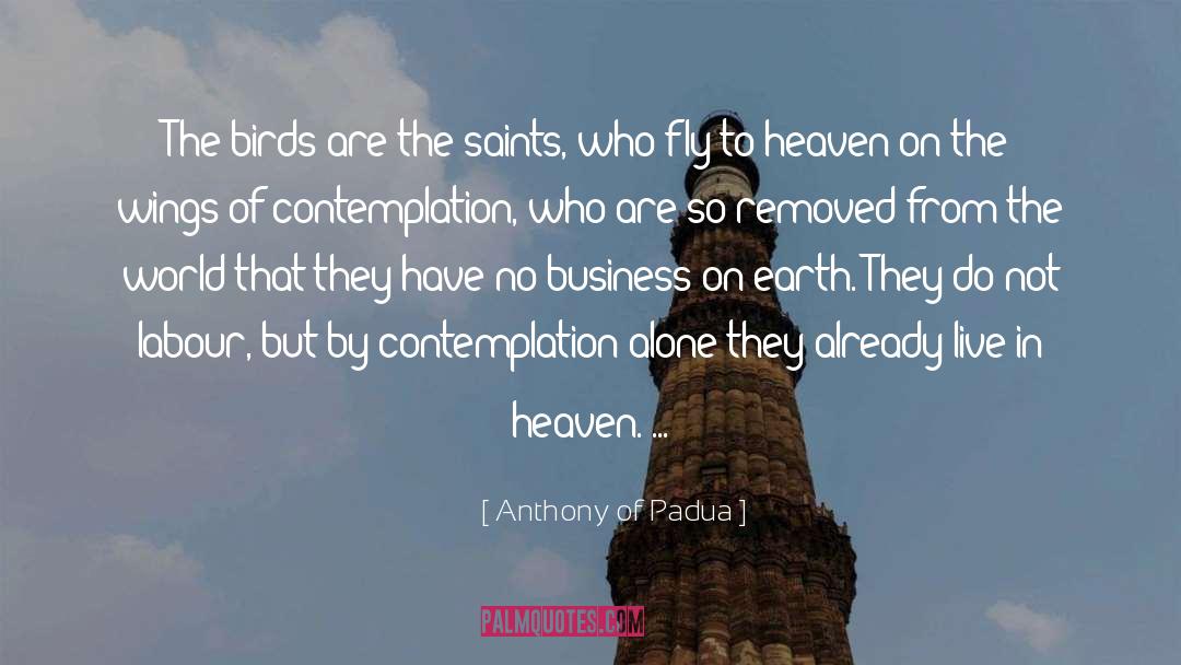 Anthony Of Padua Quotes: The birds are the saints,