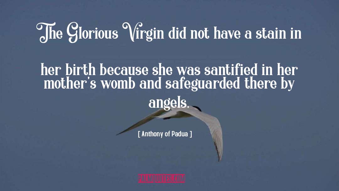 Anthony Of Padua Quotes: The Glorious Virgin did not