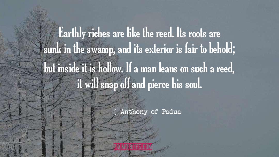 Anthony Of Padua Quotes: Earthly riches are like the