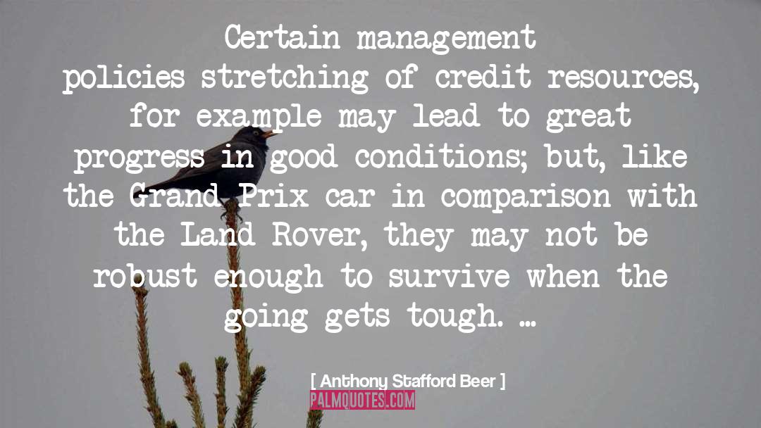 Anthony Stafford Beer Quotes: Certain management policies-stretching of credit