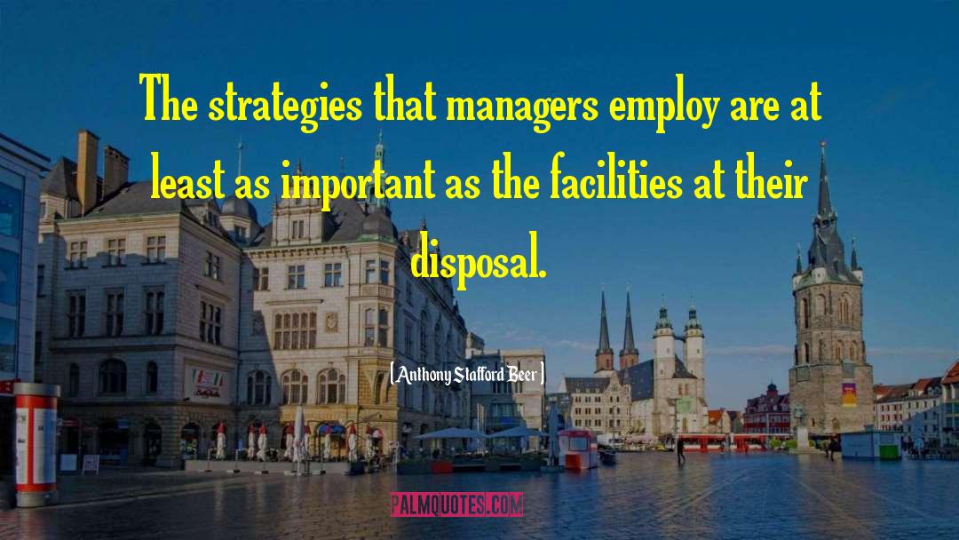 Anthony Stafford Beer Quotes: The strategies that managers employ