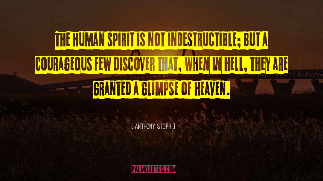 Anthony Storr Quotes: The human spirit is not