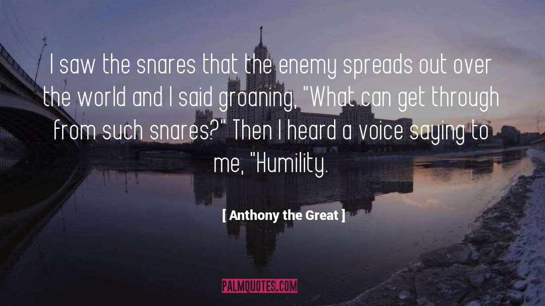 Anthony The Great Quotes: I saw the snares that
