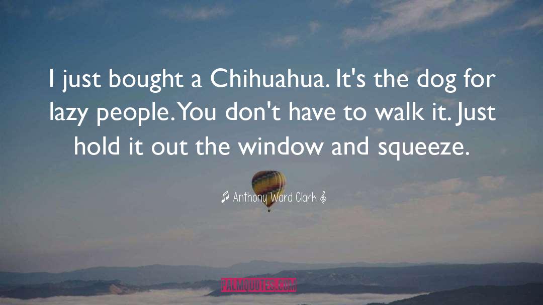 Anthony Ward Clark Quotes: I just bought a Chihuahua.