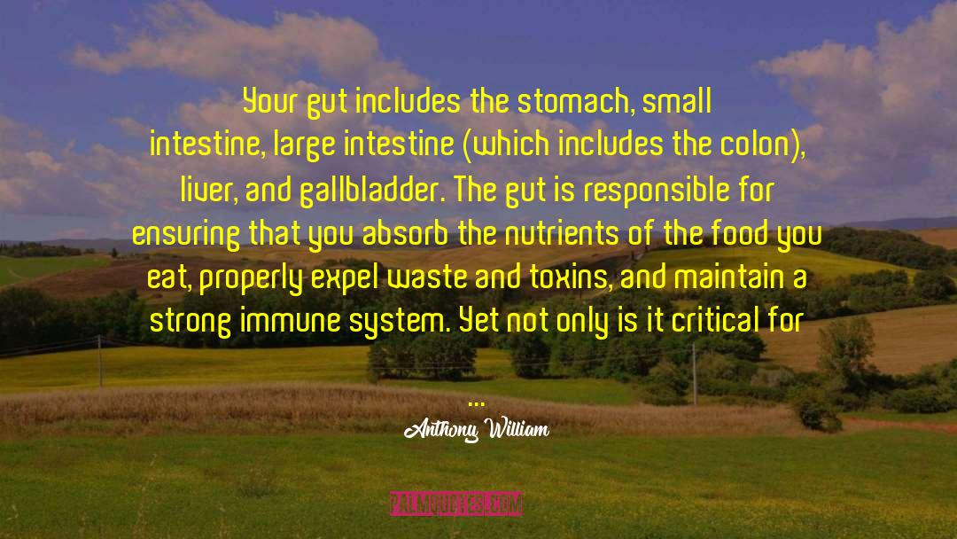 Anthony William Quotes: Your gut includes the stomach,