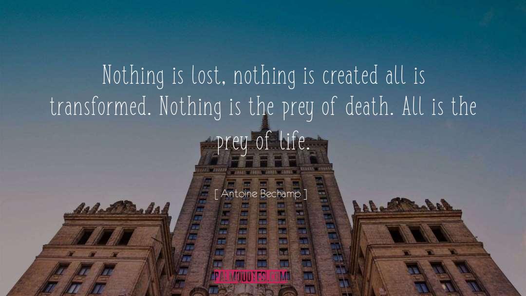 Antoine Bechamp Quotes: Nothing is lost, nothing is