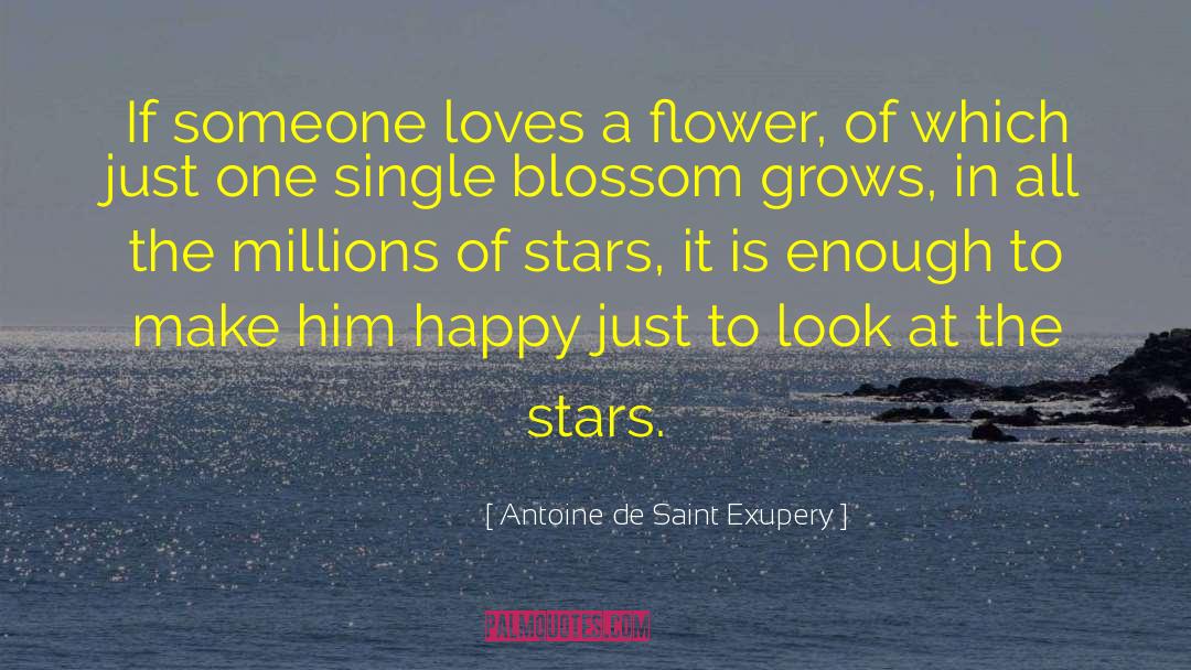 Antoine De Saint Exupery Quotes: If someone loves a flower,