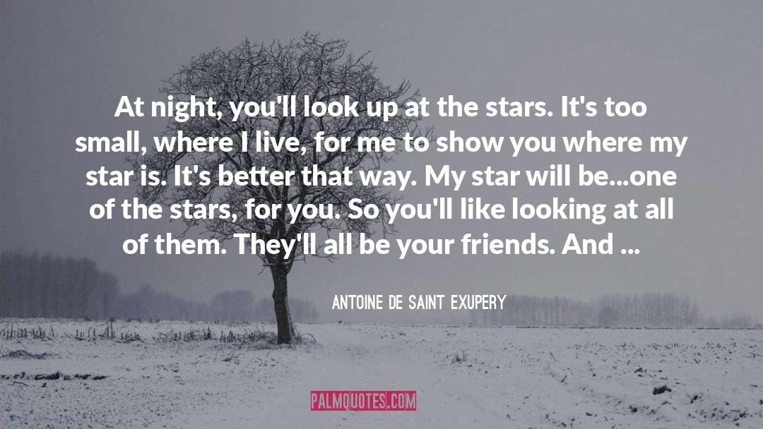 Antoine De Saint Exupery Quotes: At night, you'll look up