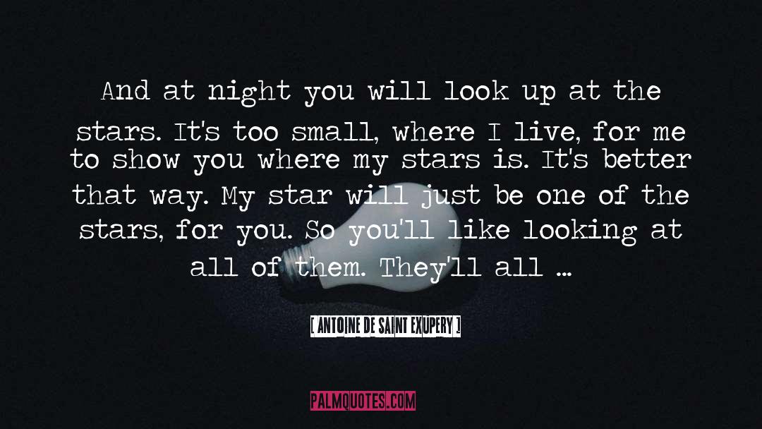 Antoine De Saint Exupery Quotes: And at night you will