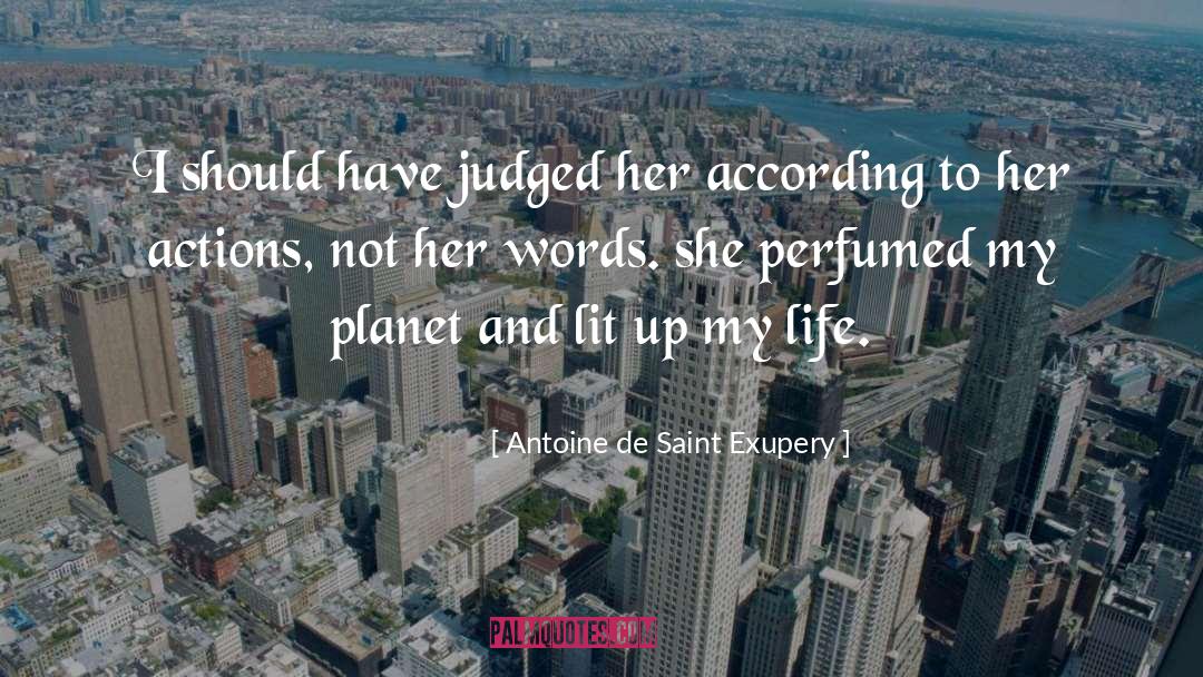 Antoine De Saint Exupery Quotes: I should have judged her