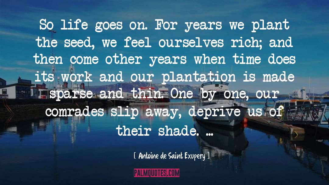 Antoine De Saint Exupery Quotes: So life goes on. For