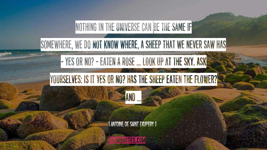 Antoine De Saint Exupery Quotes: Nothing in the universe can