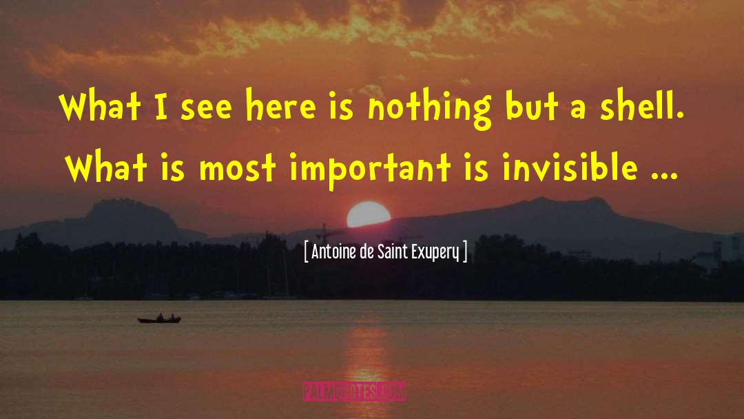 Antoine De Saint Exupery Quotes: What I see here is
