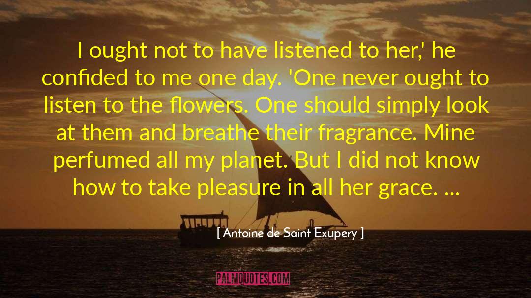 Antoine De Saint Exupery Quotes: I ought not to have