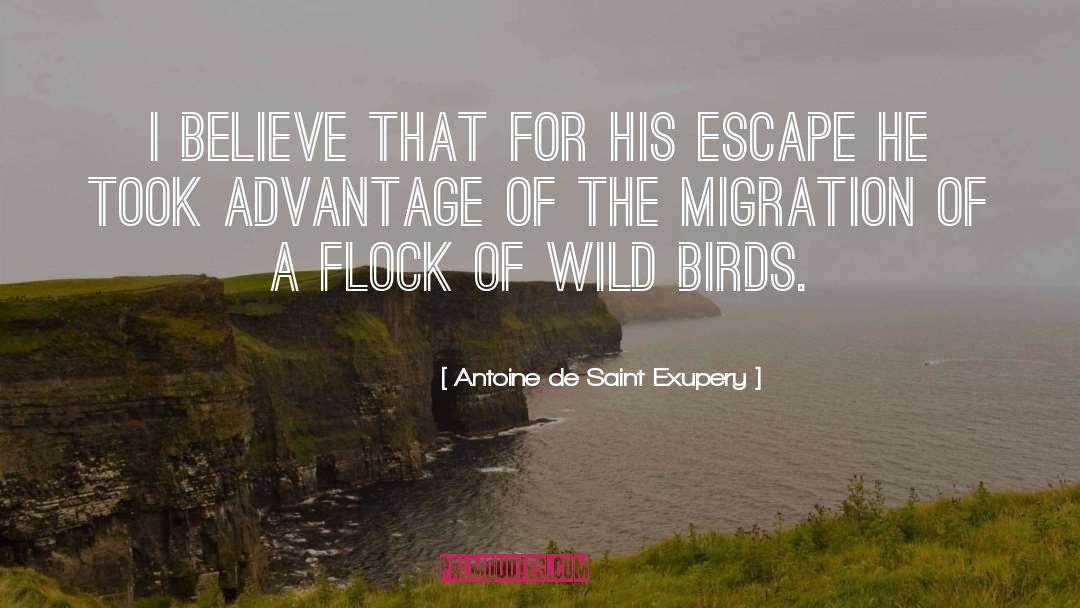 Antoine De Saint Exupery Quotes: I believe that for his
