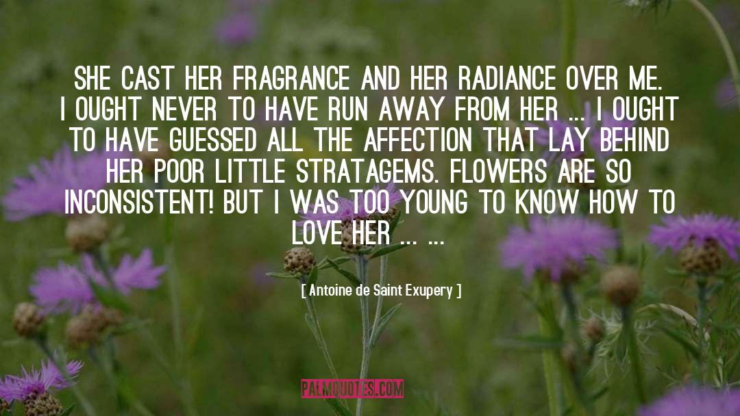 Antoine De Saint Exupery Quotes: She cast her fragrance and