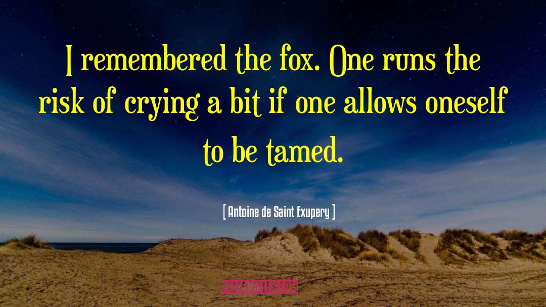 Antoine De Saint Exupery Quotes: I remembered the fox. One