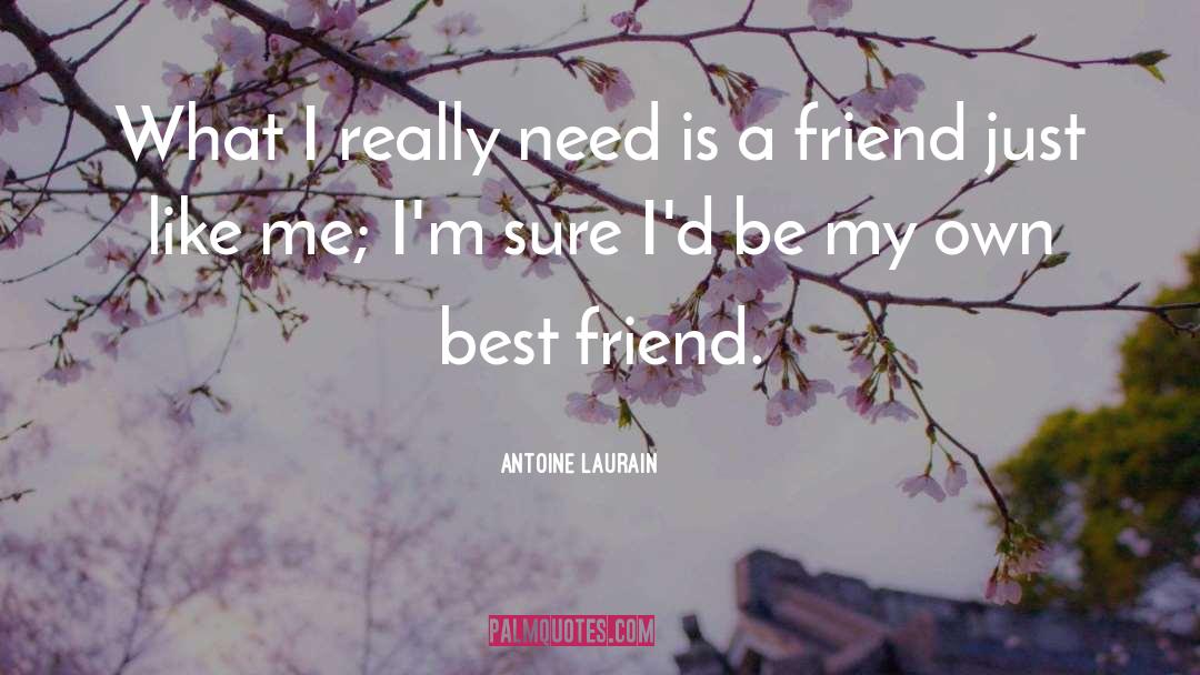 Antoine Laurain Quotes: What I really need is