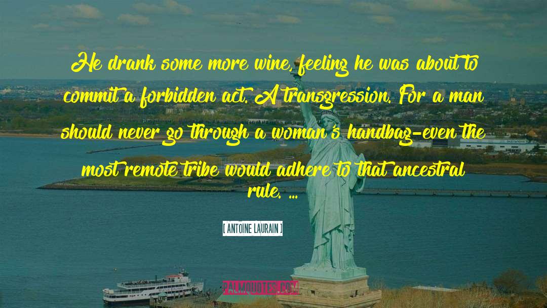 Antoine Laurain Quotes: He drank some more wine,