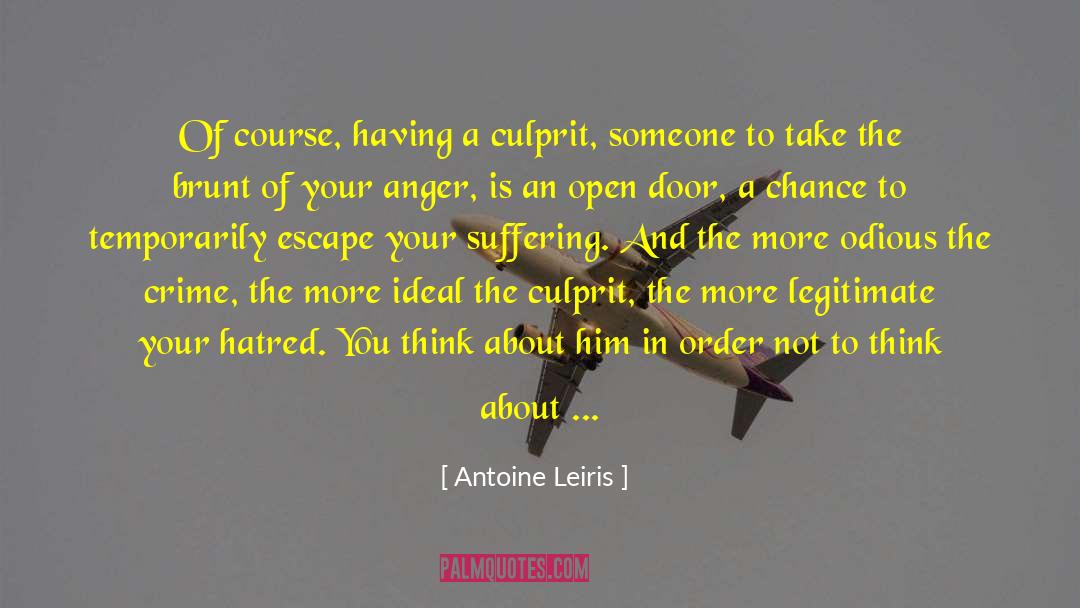 Antoine Leiris Quotes: Of course, having a culprit,