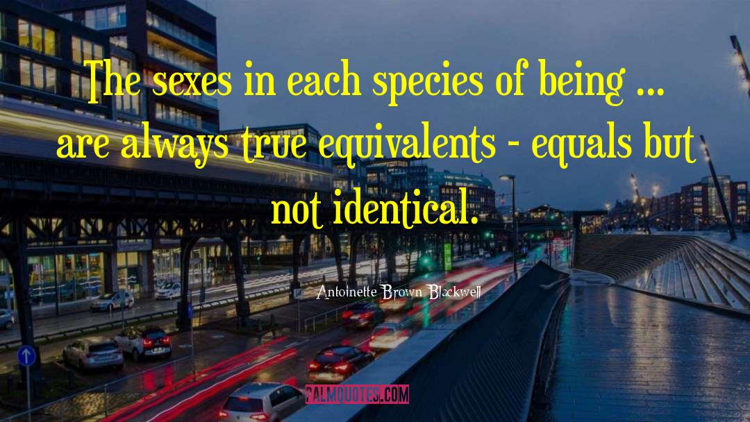 Antoinette Brown Blackwell Quotes: The sexes in each species