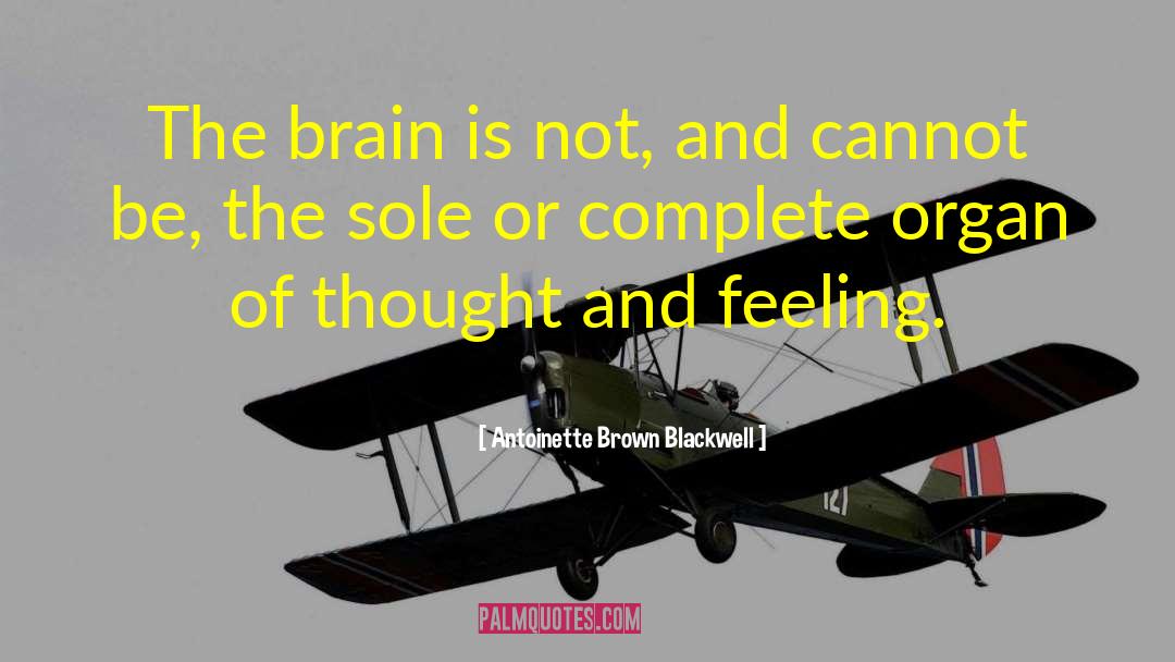 Antoinette Brown Blackwell Quotes: The brain is not, and