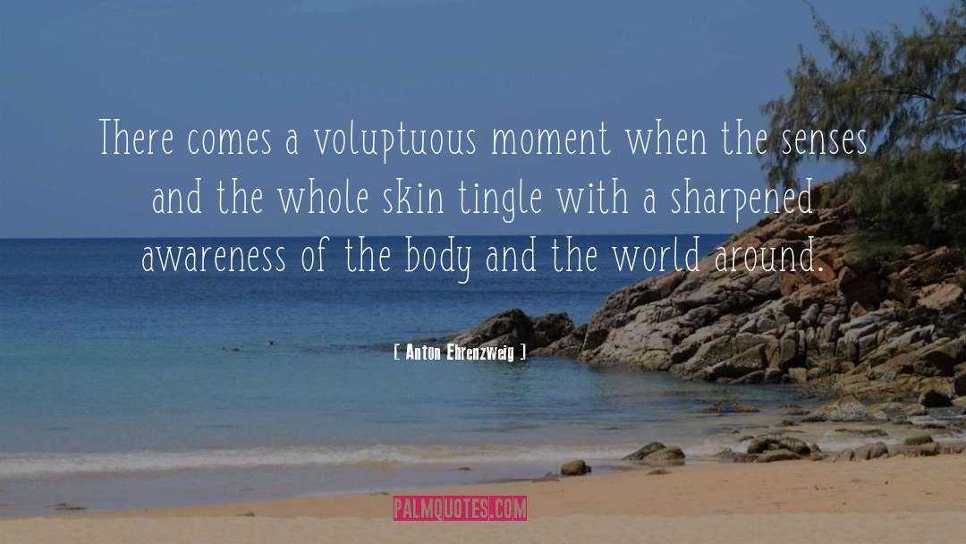Anton Ehrenzweig Quotes: There comes a voluptuous moment