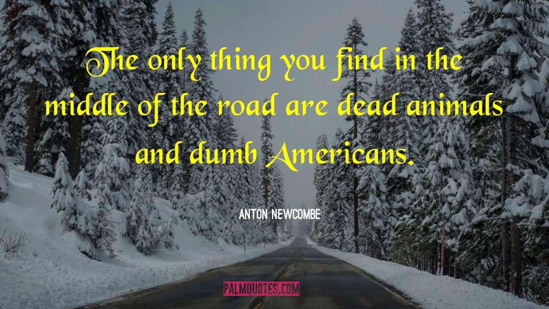 Anton Newcombe Quotes: The only thing you find