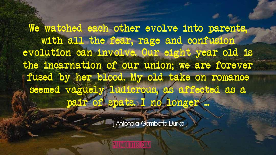 Antonella Gambotto-Burke Quotes: We watched each other evolve
