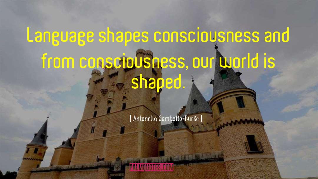 Antonella Gambotto-Burke Quotes: Language shapes consciousness and from