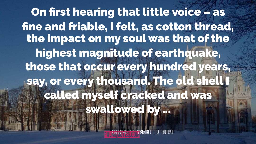 Antonella Gambotto-Burke Quotes: On first hearing that little