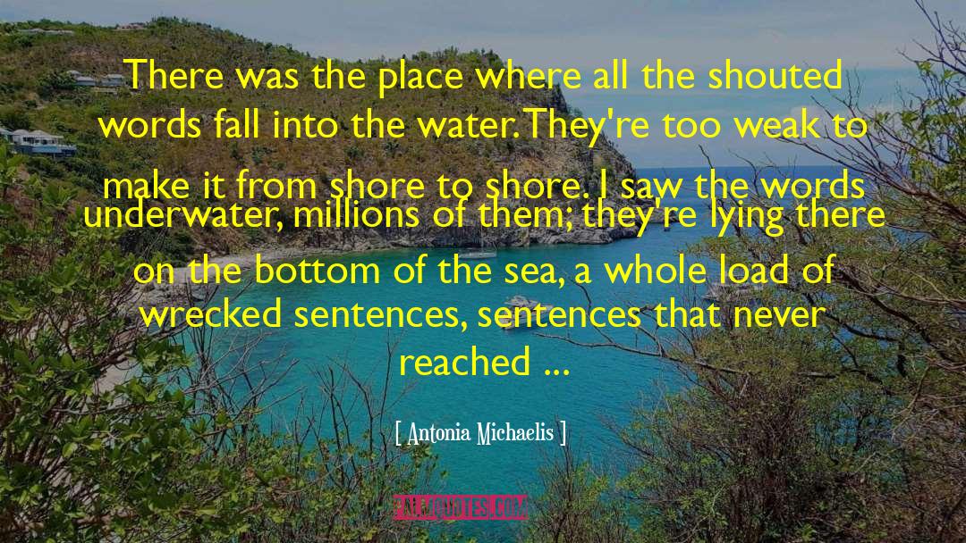 Antonia Michaelis Quotes: There was the place where