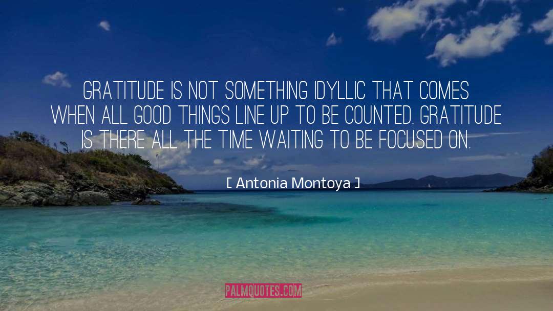 Antonia Montoya Quotes: Gratitude is not something idyllic
