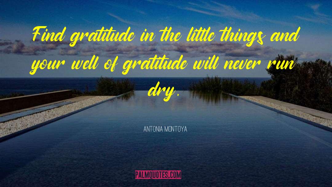 Antonia Montoya Quotes: Find gratitude in the little